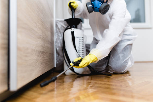 Best Best Pest Control Near Me  in Portales, NM