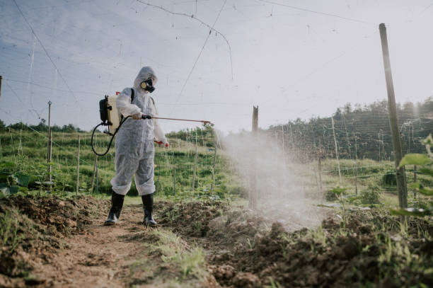 Best Ant Control Services  in Portales, NM