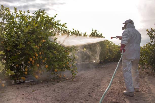 Best Exterminator Services  in Portales, NM